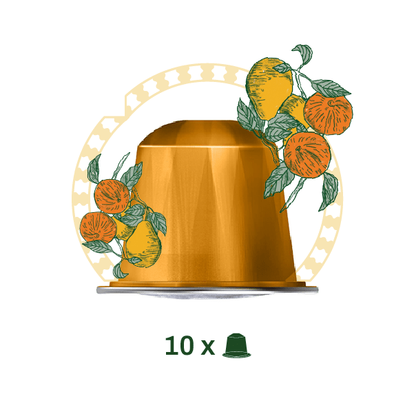 73 by Al Ameed Peru Specialty Espresso Capsules, single origin coffee for Espresso machines